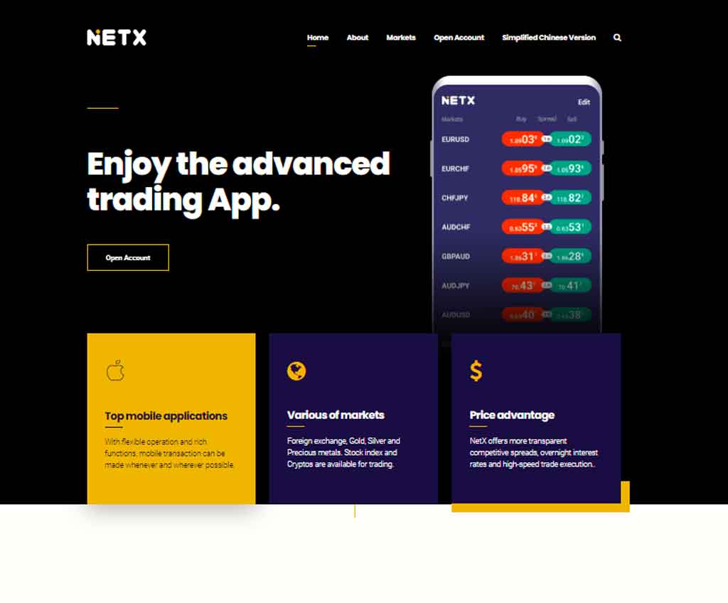 Página web de NetX