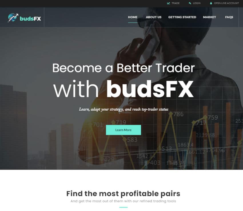 Página web de BudsFx