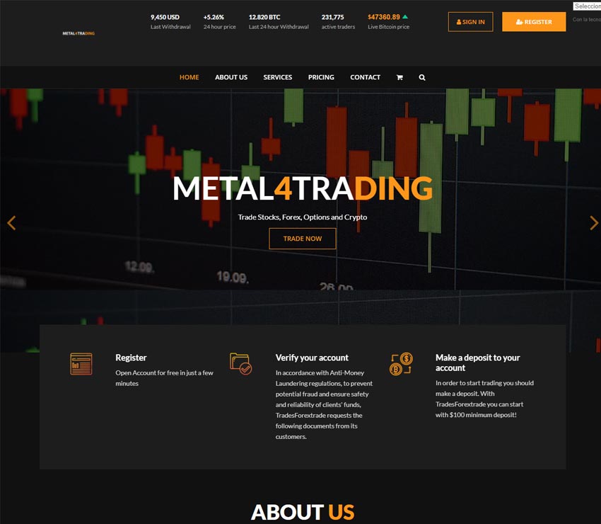 Página web de Metal4Trading