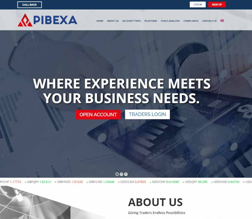 Página web de PIBEXA