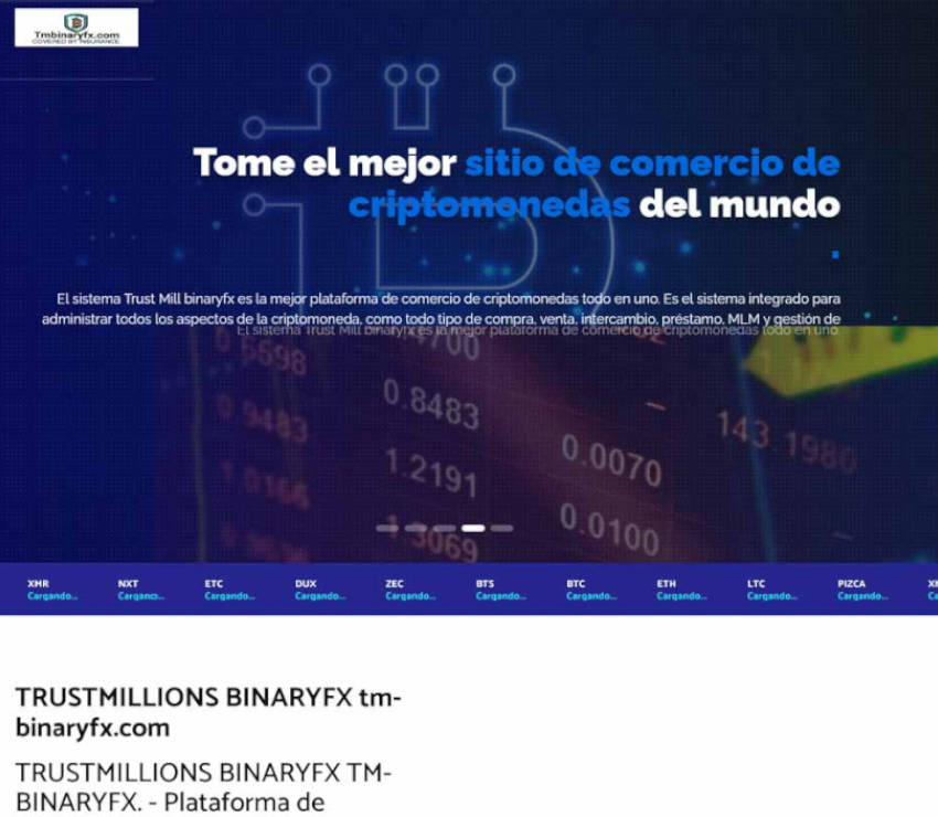 Página web de Trust Millions BinaryFx