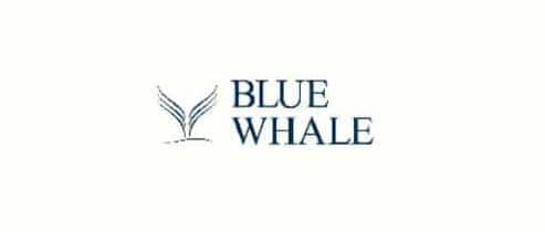 Blue Whale Investment fraude