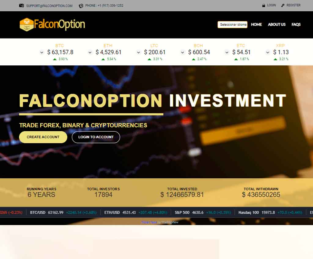 Página web de FalconOption