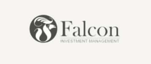 CorporateFalcon fraude