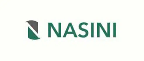 Nasini fraude