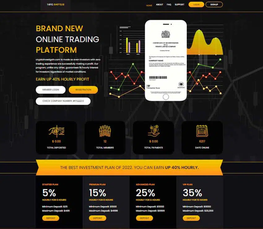 Página web de Cryptoinvestgain.com