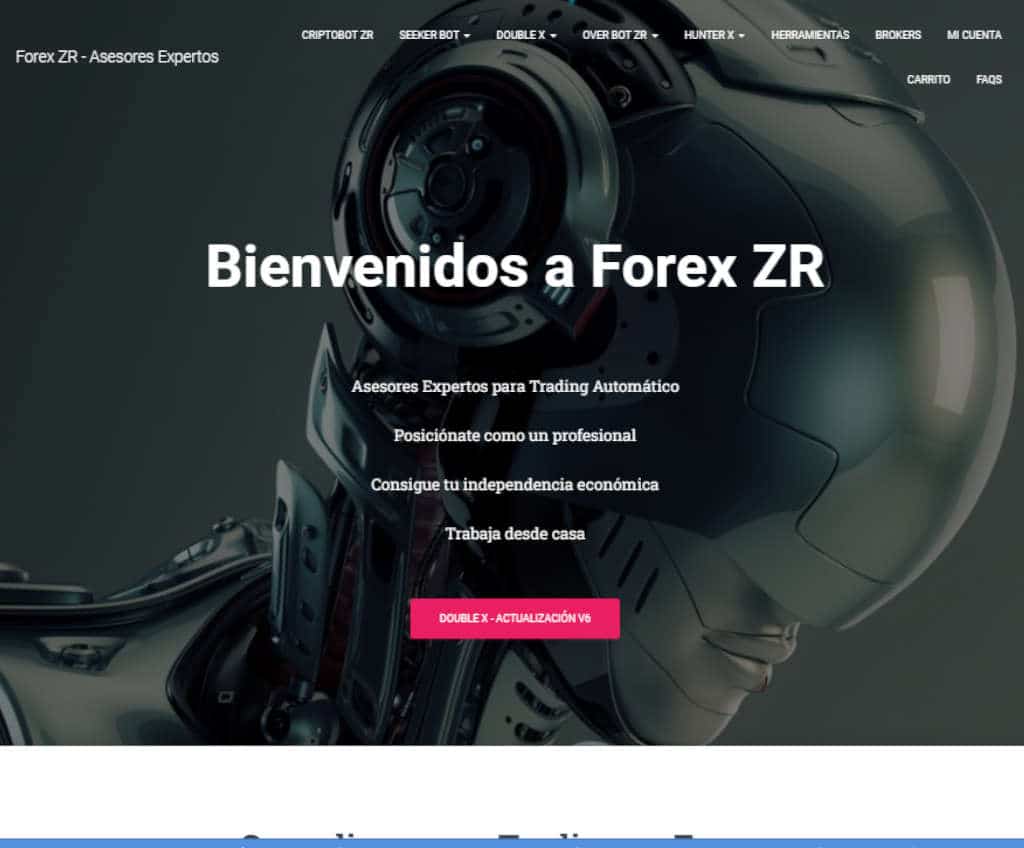 Página web de Forex ZR