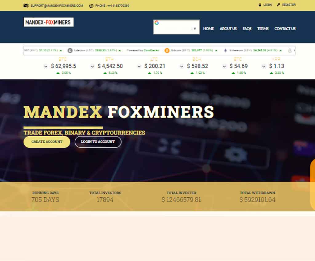 Página web de mandex-foxminers