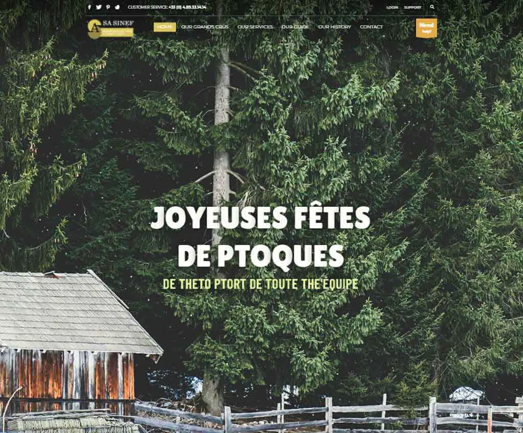Página web de SA Sinef