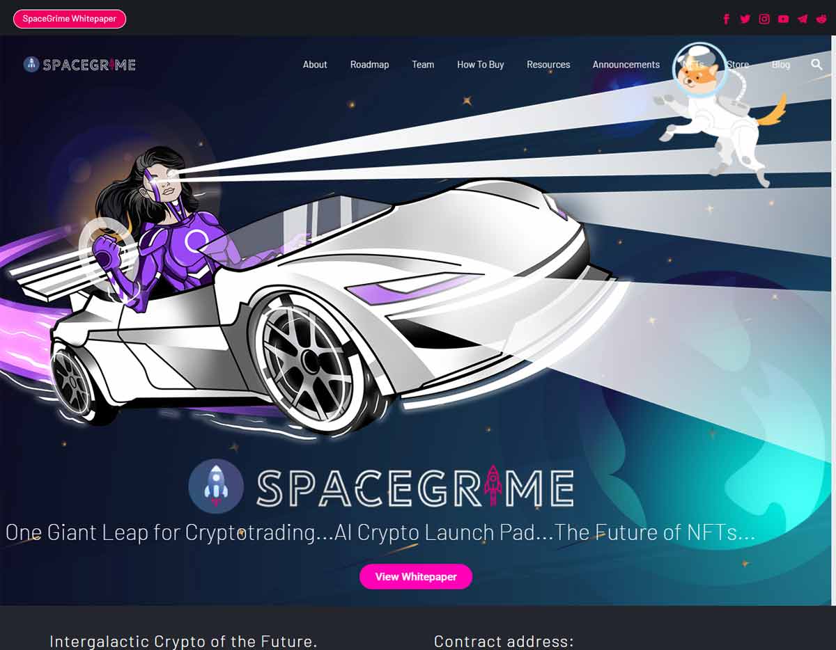 Página web de SpaceGrime