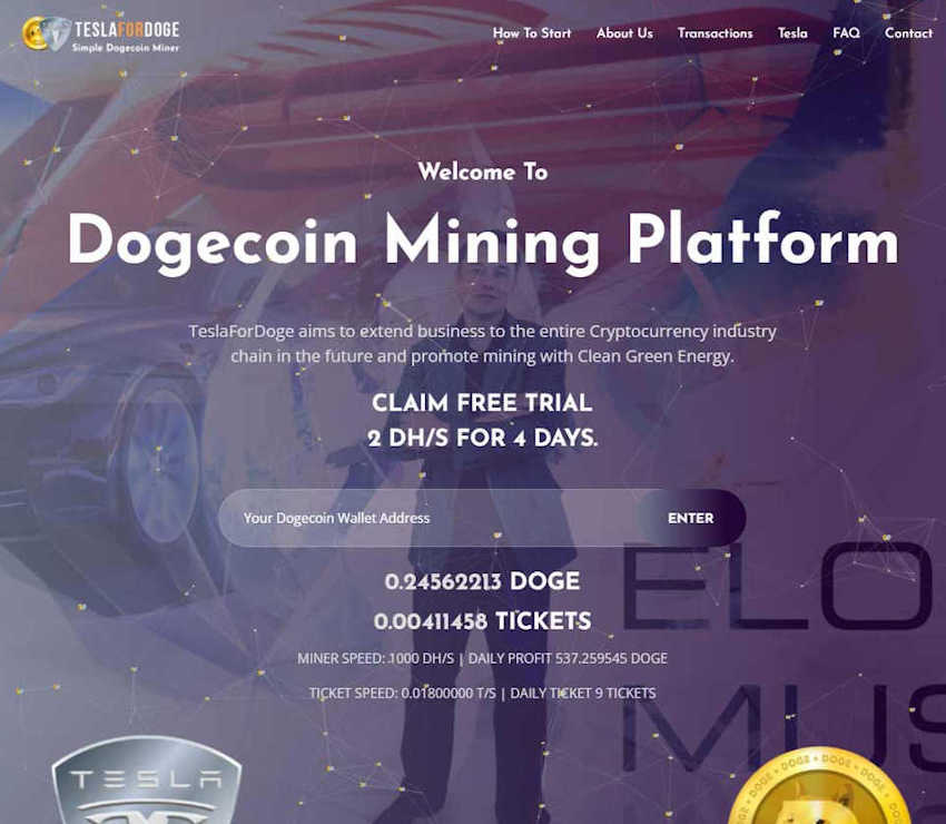 Página web de TeslaForDoge