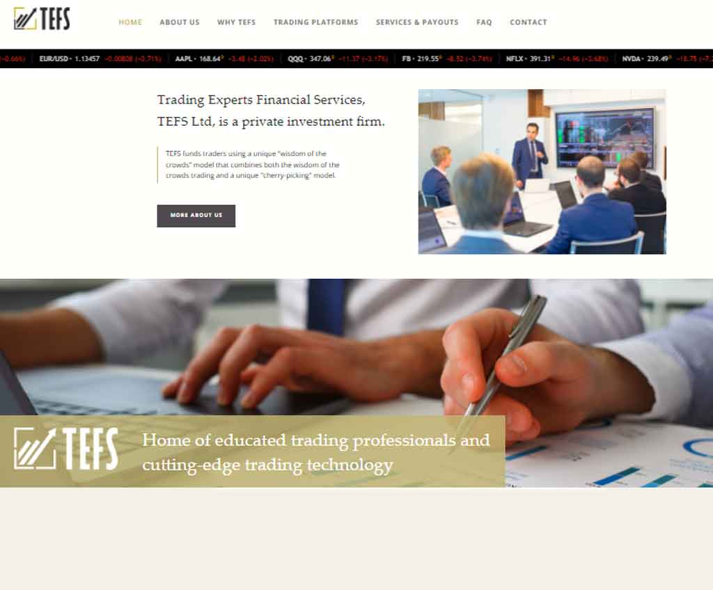 Página web de TEFS