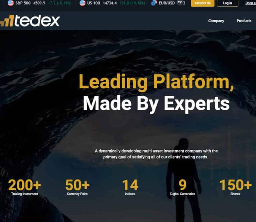 Página web de Tedex