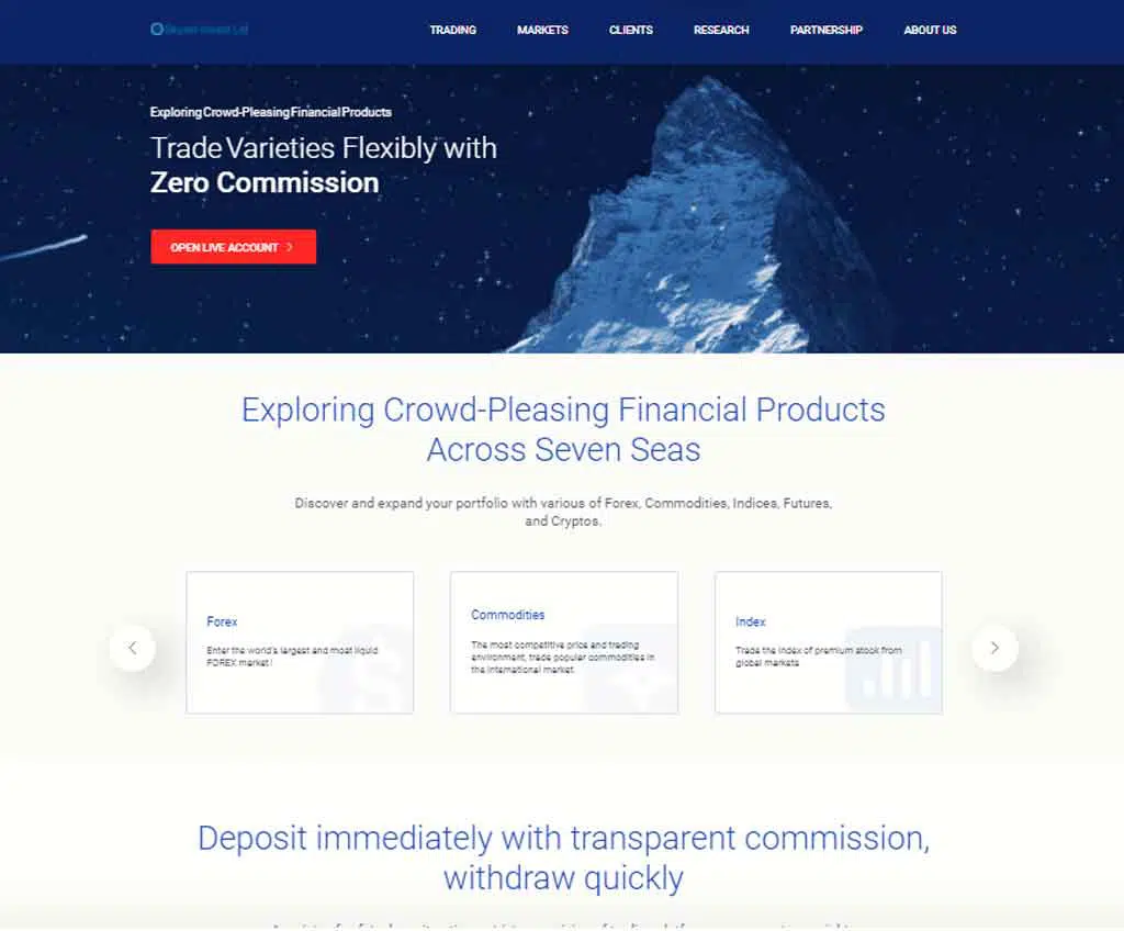 Página web de Skyam Invest Ltd