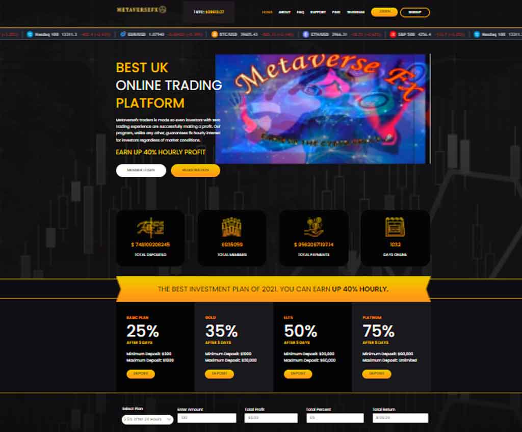 Página web de Metaversefx traders LTD